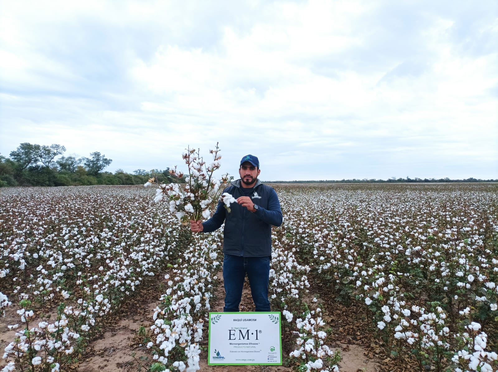 crops12316131e5c-c664-4df5-aecf-d084373f02c9