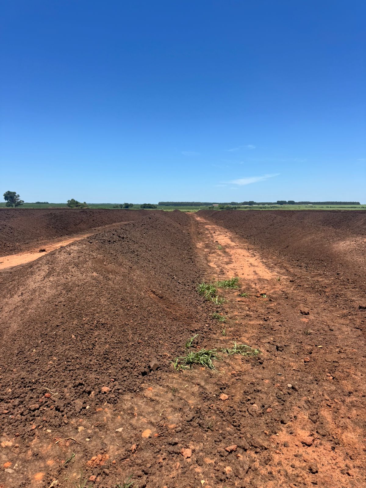 3compost Image 2026-03-18 at 3.01.16 PM