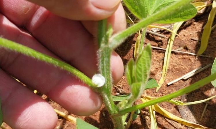 WhatsApp Image 2025-12-20 at 7.49.29 AM (3)