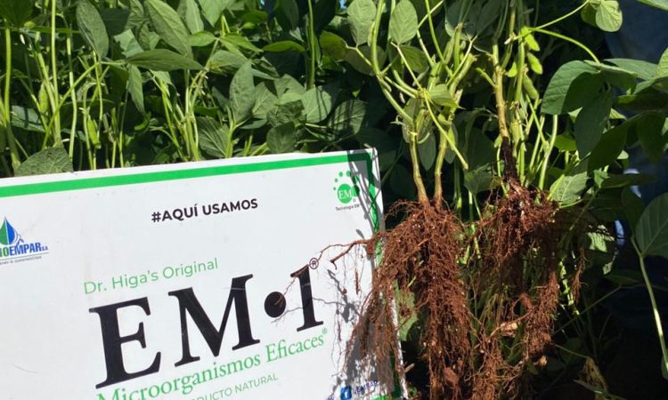 WhatsApp Image 2025-12-20 at 7.50.27 AM