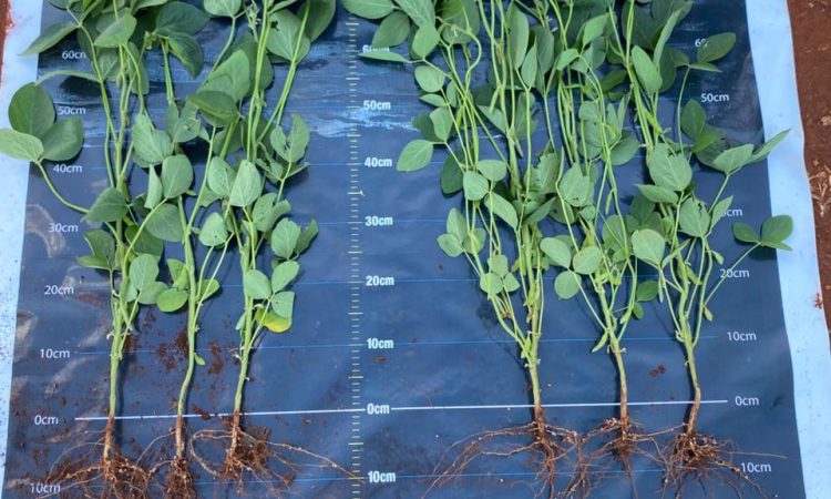 WhatsApp Image 2025-12-20 at 7.50.28 AM